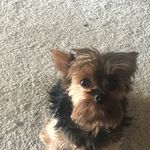 Nancy Grooms - @grooms2333 - Instagram