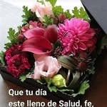 Nancy Guajardo - @guajardo3513 - Instagram