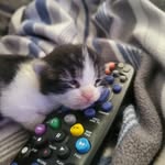 Nancy Guérin - @nancy.guerin.562 - Instagram