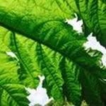 Nancy Guerin - @nancy_guerin - Instagram