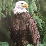 Nancy Haber - @nancy.haber.792 - Instagram