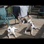 Nancy Stokes - @nancy_haber_stokes - Instagram