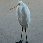 Nancy Sheldon - @nancyhadfield6631 - Instagram