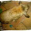 Nancy.Hadfeild - @nancydnces - TikTok