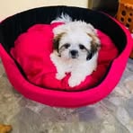 Nancy Hage - Facebook