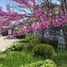 Nancy Hager - Facebook