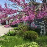 Nancy Hager - @nancy.hager.50 - Instagram