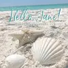 nancyhague8 - @nancyhague8 - TikTok