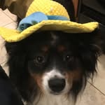 Nancy Haight - @mochajavw - Instagram
