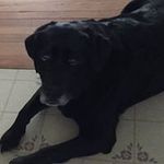 Nancy Haley - @shaley9 - Instagram