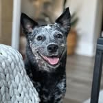 Nancy Halsey Flasck - @nancyhflasck - Instagram