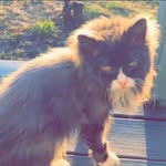Nancy Cecilie Halvorsen - @nancyhalvorsen - Instagram