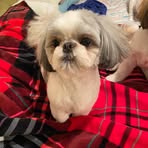 Nancy Hamblin - Facebook