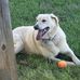 Nancy Hamrick - Facebook