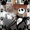 nancyhamrickluesc - @nancyhamrickluesc - TikTok