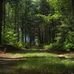 Nancy Hamson - Facebook