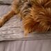 Nancy Hanko - Facebook