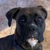 Nancy Dawson-Hansford - Facebook