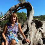 Nancy Hesselbacher Hardt - @nancy.hardt - Instagram