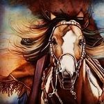 Nancy Harder - @mar.iaharder - Instagram