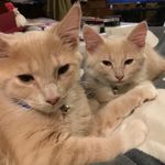Nancy-Sue Tryon Harder - @nslovesstorm - Instagram