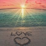 nancyharder - @nancyharder8 - Instagram