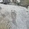 Nancy Hardman Hatton - @nancy.hardman.hat - TikTok