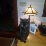 Nancy Harford - @nharford2003 - Instagram