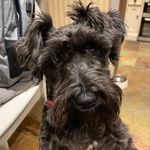 Nancy Harker - @nancyharker - Instagram