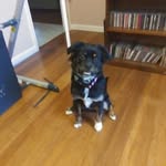 Nancy Harlan - @nancy.harlan.315 - Instagram