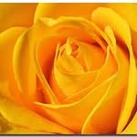 Nancy Harlan - @happy_2886 - Instagram