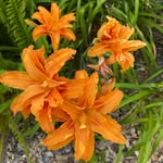 Nancy Harlander - @harlandernancy - Instagram