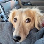 Nancy Harlow - @q1werggbhubvgg - Instagram
