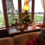 Nancy Harlow Geiger - @geiger3829 - Instagram