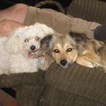 Nancy Harlow Goheen - @nancyharlowgoheen - Instagram