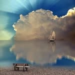 Nancy Harryman - @nancy.harryman.908 - Instagram