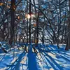 nancyharshman - @nancyharshman - TikTok