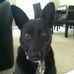 Nancy Hassett - Facebook