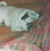 Nancy Hatchett Cascio - Facebook