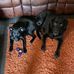 Nancy Hauenstein - Facebook