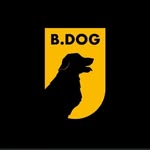 Nancy Haughey - @bdogcoach - Instagram