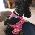 Nancy Haven - @nancy.haven - Instagram