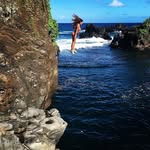 Nancy Haven - @nancyhaven1 - Instagram