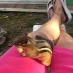 Nancy Haven - Facebook