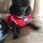 Nancy Haven - @nancyhaven - Instagram
