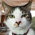 Nancy Havens - @nancyleerose - Instagram