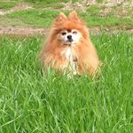 Nancy Armontrout-Headland - @nancy.ca2007 - Instagram