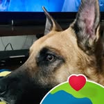 Nancy Hefley - @n.hefley - Instagram