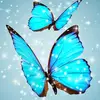 nancyheide - @nancyheide1113 - TikTok