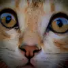 Nancy Heidel - @nancyheidel560 - TikTok
